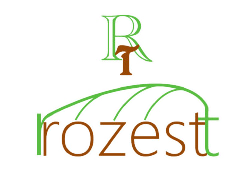 RROZESTT | ロゼスト